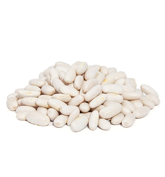 White bean (Orbit)